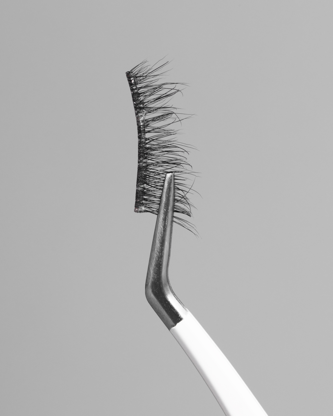 Close up of Dawn Pop-On Lashes: The 75 Lash held by tweezers