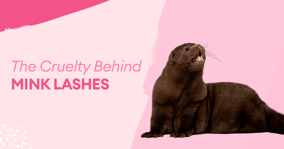 The Cruelty Behind Mink Lashes