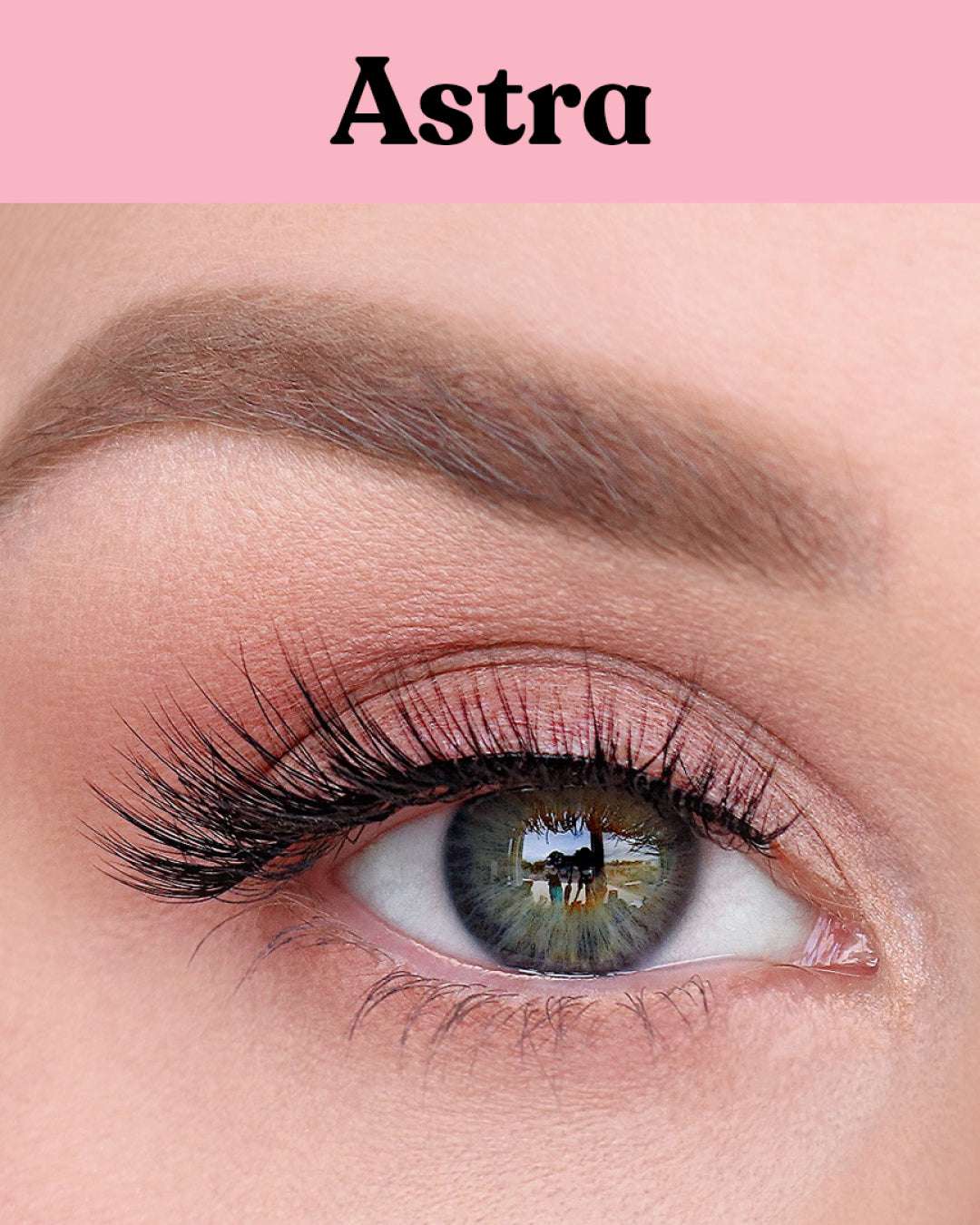 "Astra | LinerBond SuperNatural Lash"