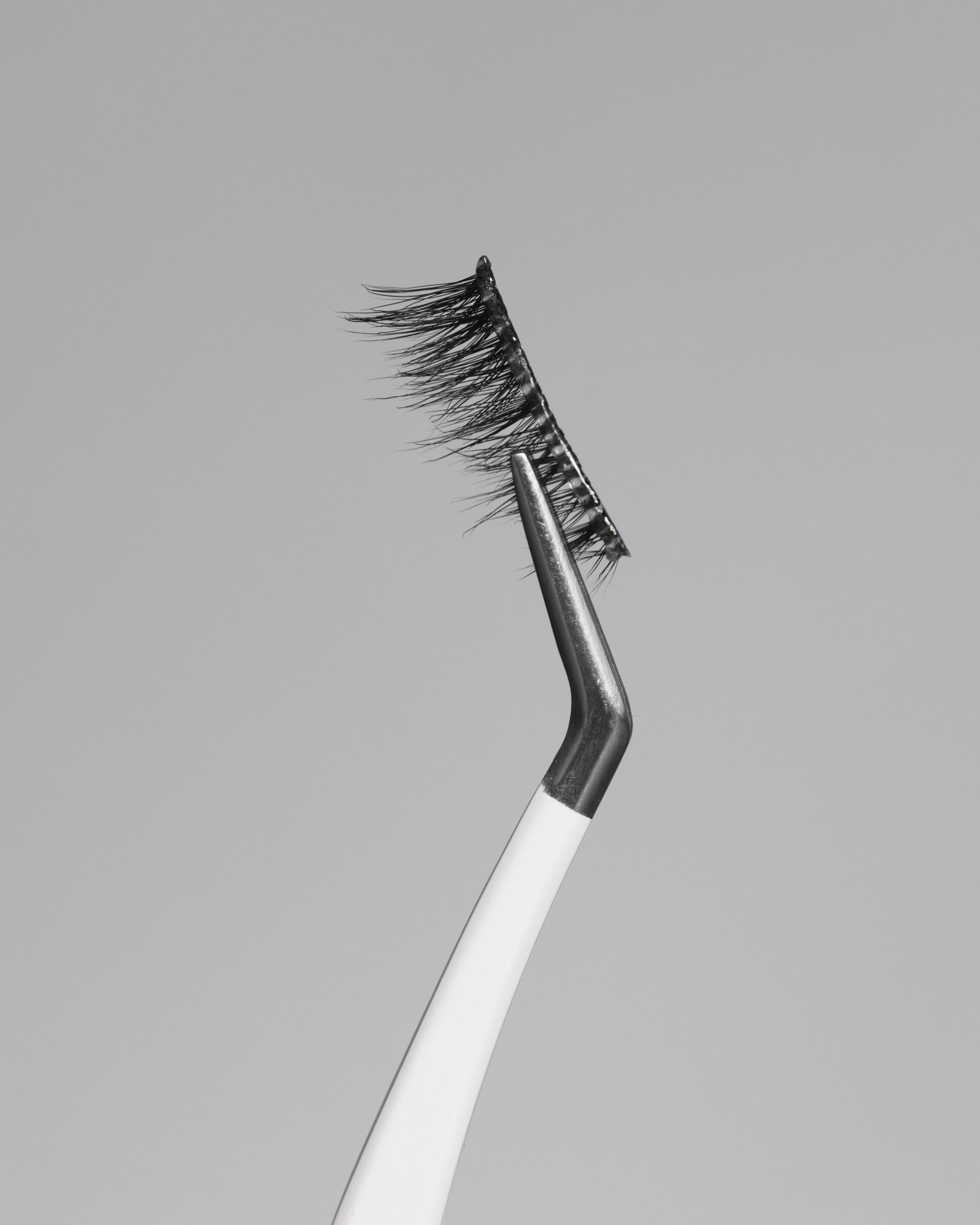 Moonrise | Pop-On Lashes: The 75+ Lash