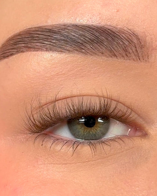 Bloom | Pop-On Lashes: The Extensions Set