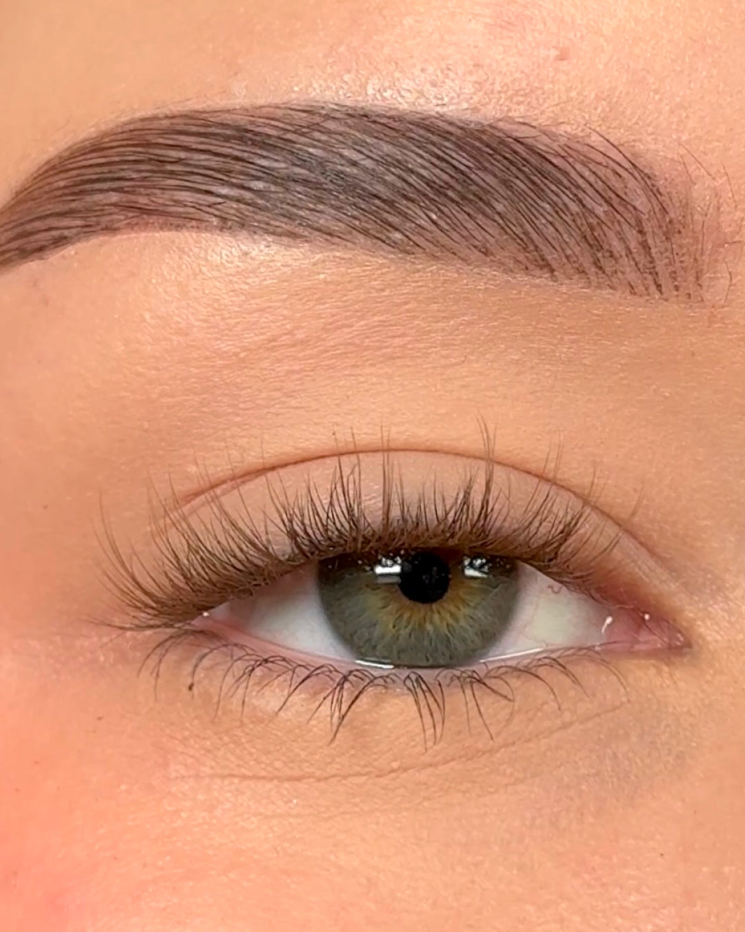 Pop-On Lashes™ - Style Blush