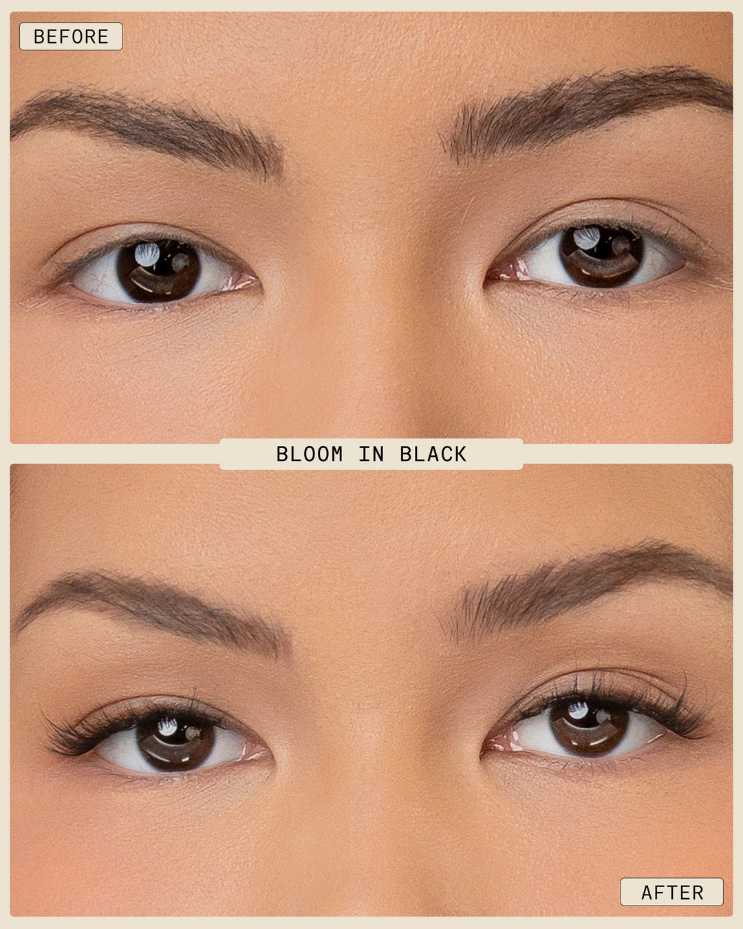 Bloom | 持久睫毛：假睫毛套装