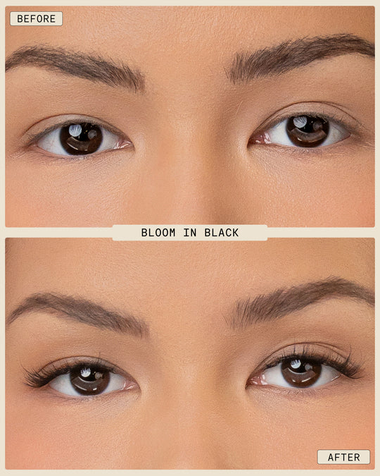 Bloom | 持久睫毛：假睫毛套装