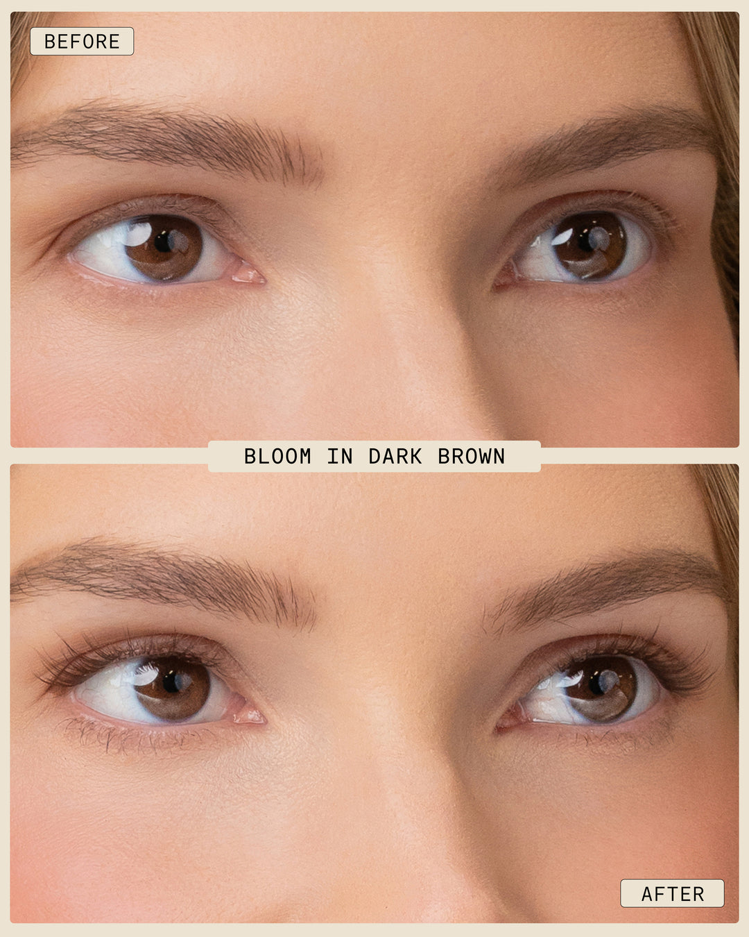 Bloom | Pop-On Lashes: The Extensions Set