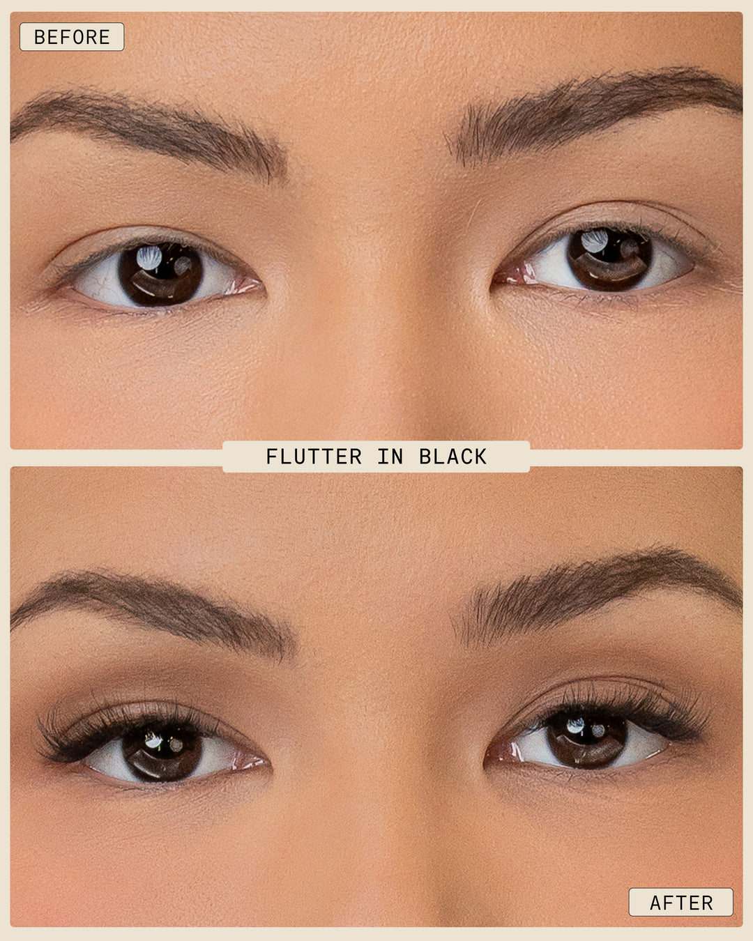 Flutter | Pop-On Lashes : L'ensemble d'extensions