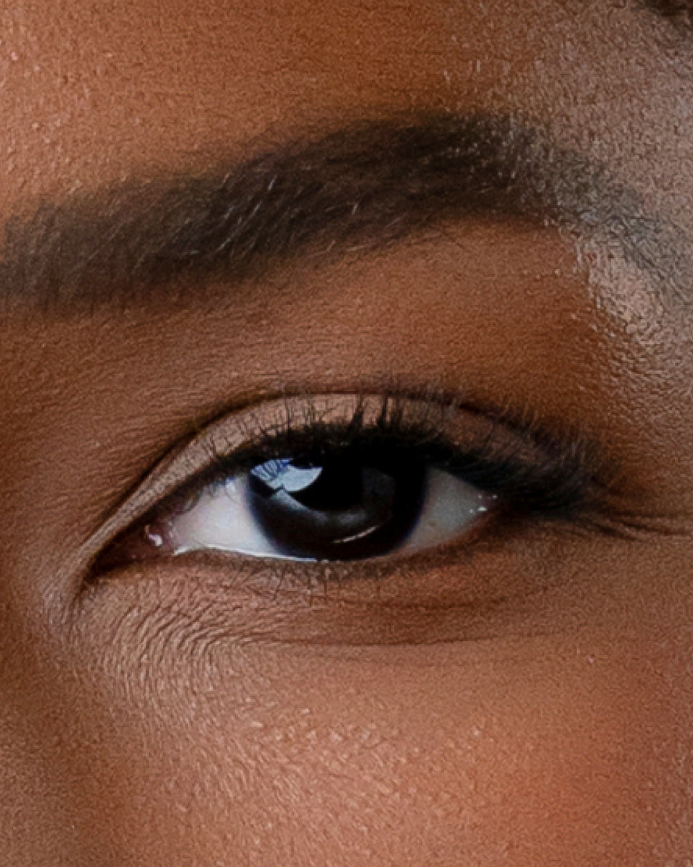 Bloom | Pop-On Lashes: The Extensions Set