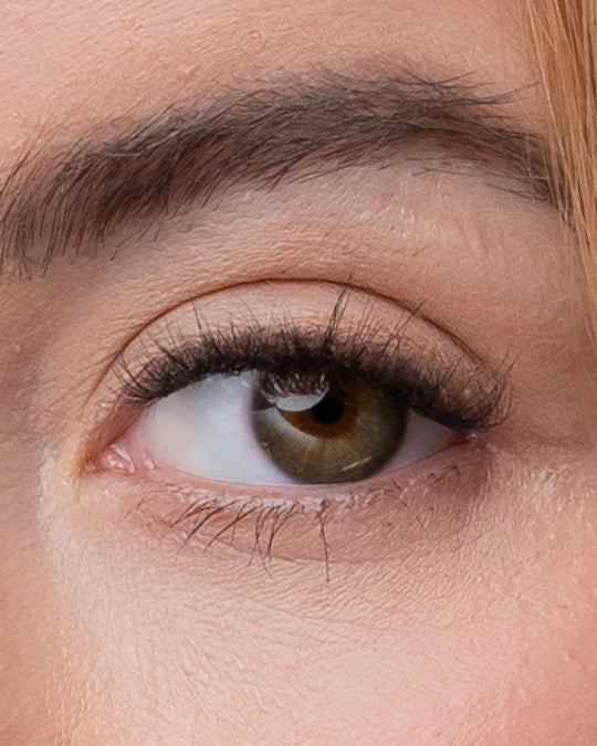 Blush | Pop-On Lashes: The Extensions Set