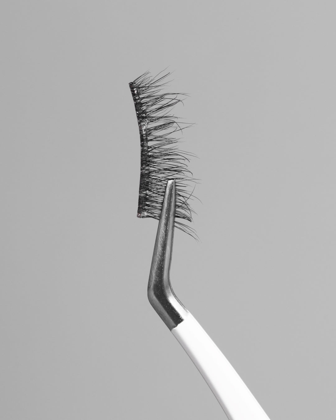 Dawn | Pop-On Lashes: The 75 Lash