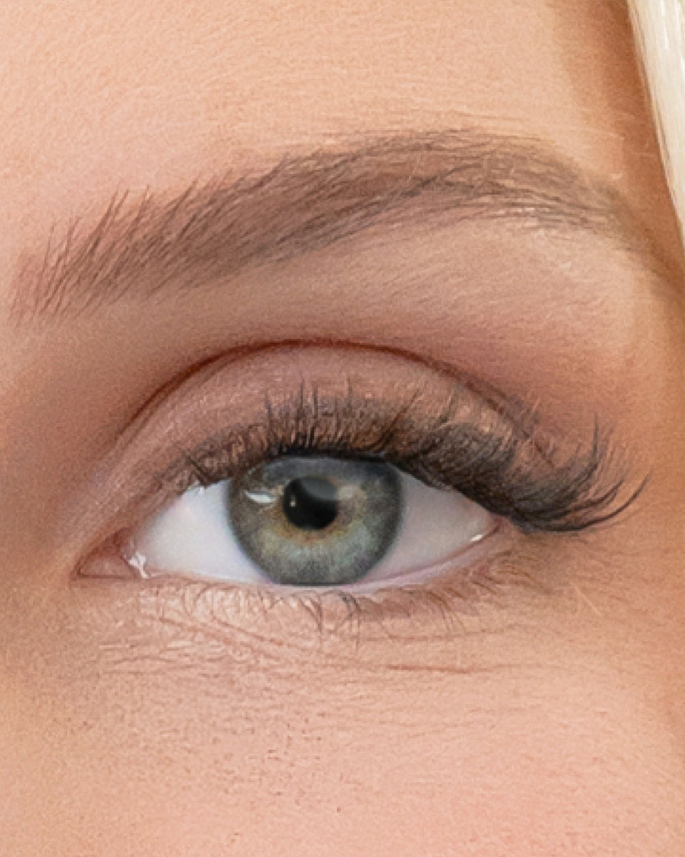 Flaunt | Pop-On Lashes: The Extensions Set