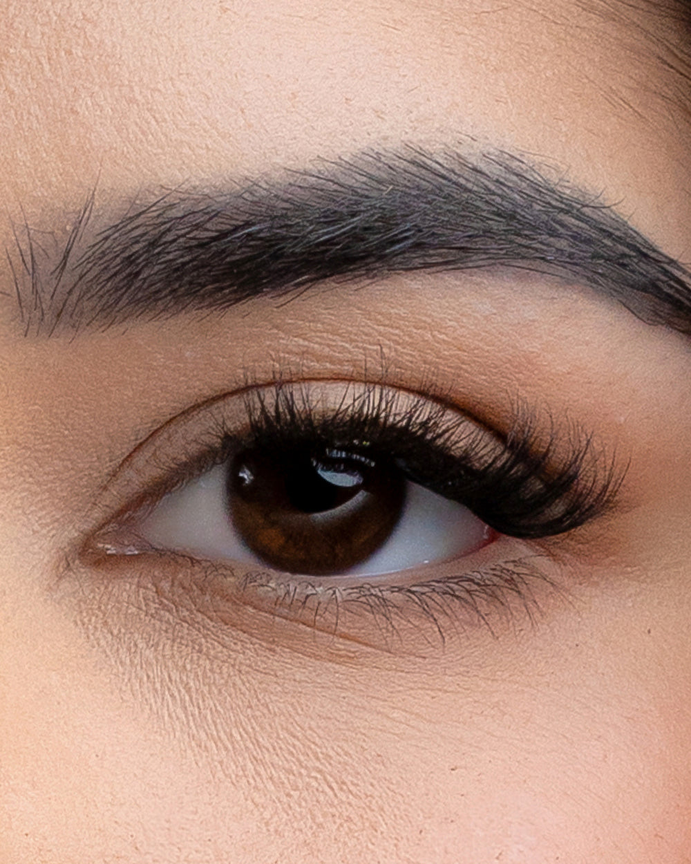 Flutter | Pop-On Lashes: The Extensions Set