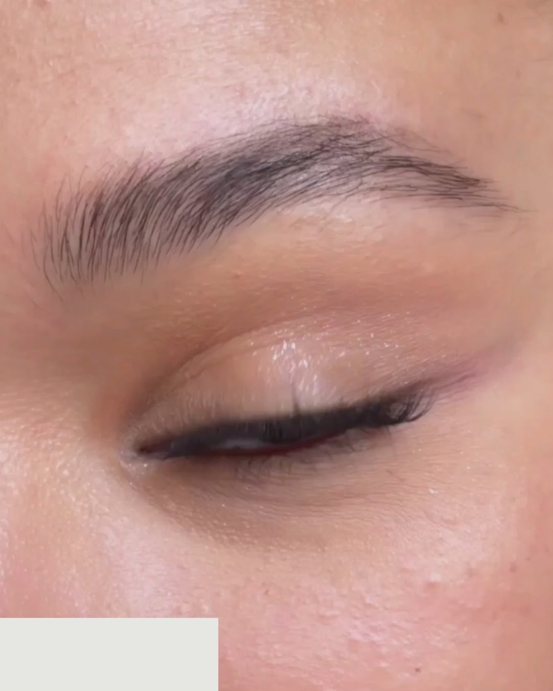 Bloom | Pop-On Lashes: The Extensions Set