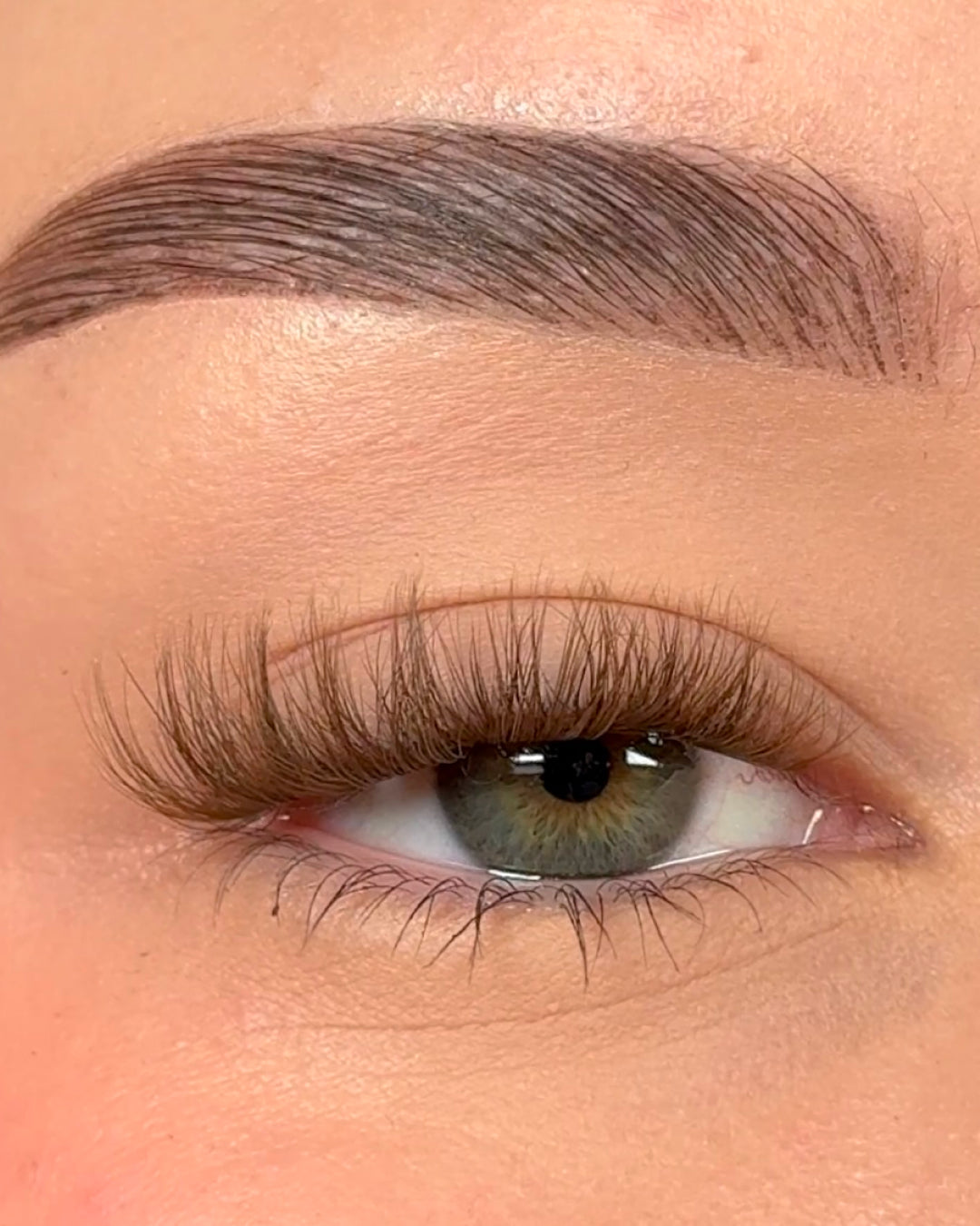 Pop-On Lashes™ - Estilo Flaunt
