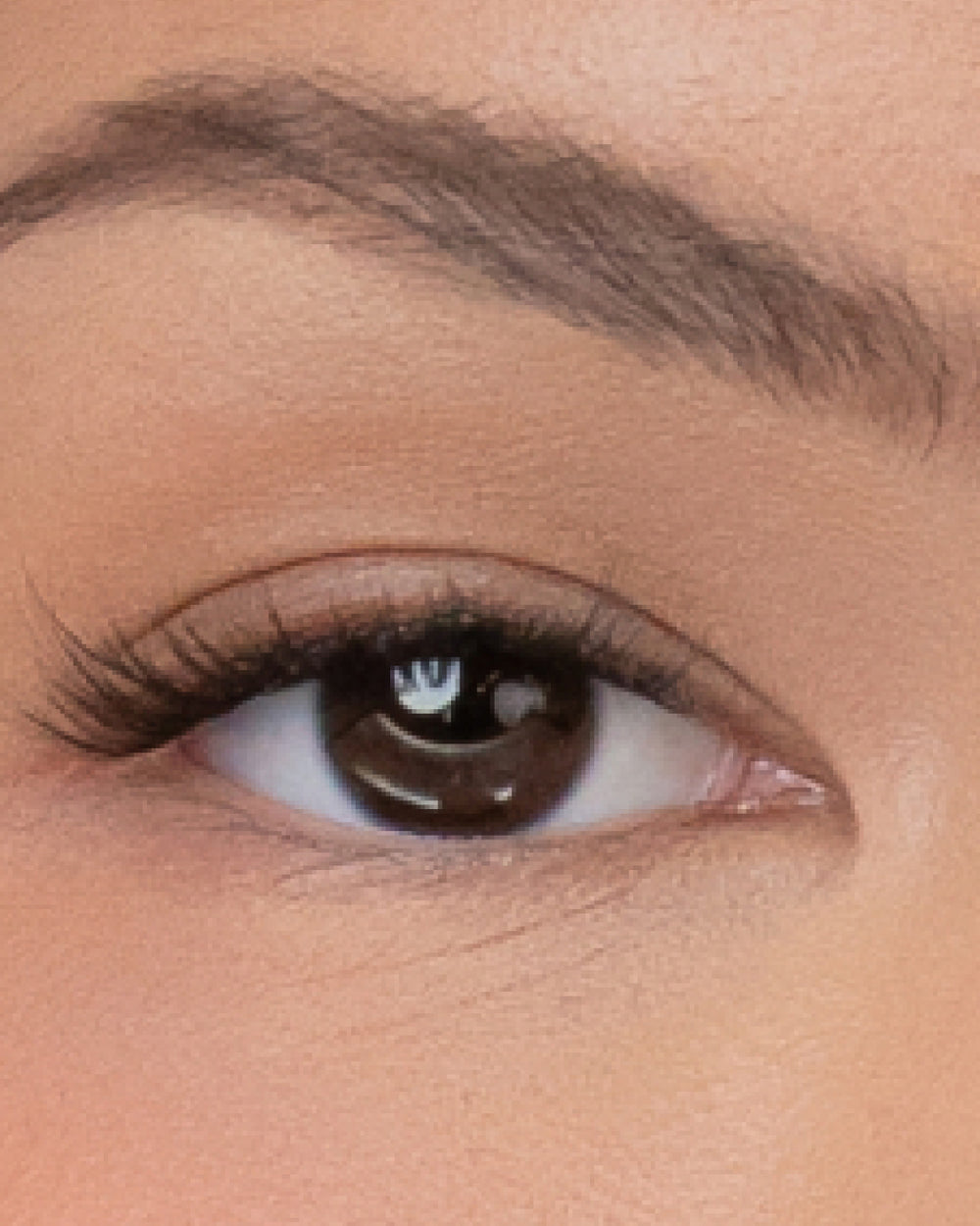Rosy | Pestañas Pop-On: El set de extensiones