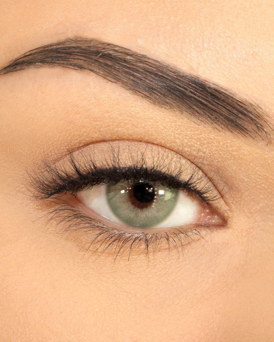 Halley | LinerBond SuperNatural Lash