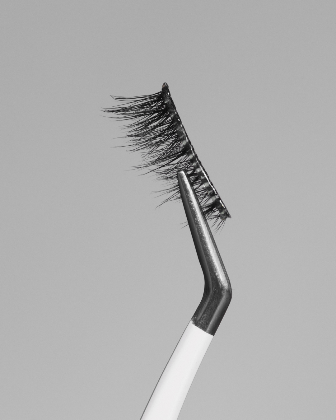 Close up of Moonrise Pop-On Lashes: The 75+ Lash held with tweezers