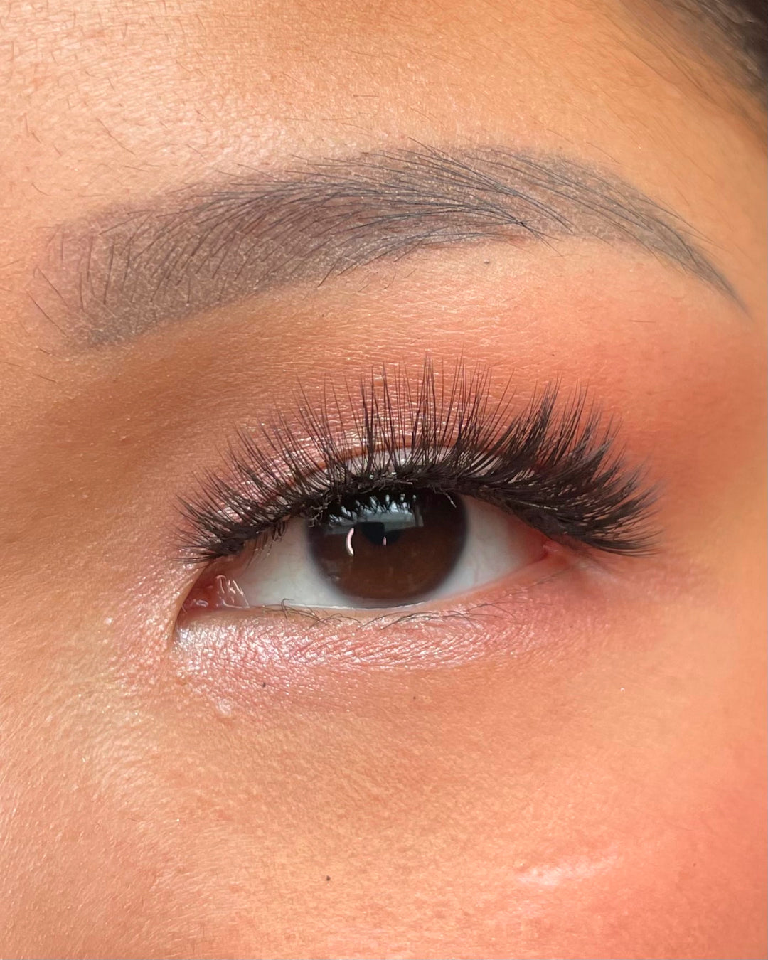 Nova | LinerBond SuperNatural Lash